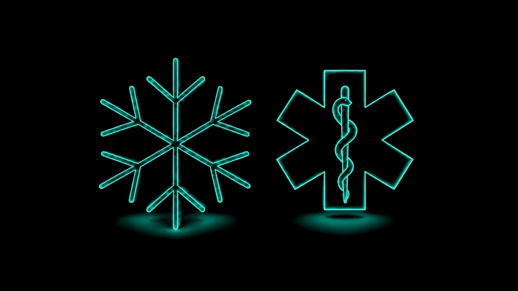 Frozen and hazardous / pharmaceutical deliveries